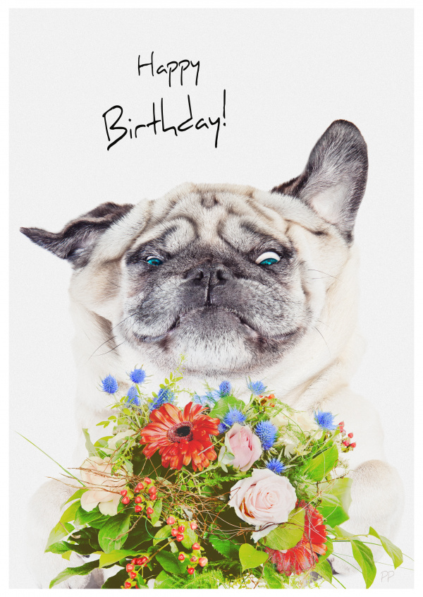anniversaire
